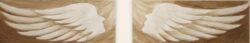 cropped lelekszarnyan weblapra.jpg